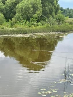 земля с/х назначения, 19 соток