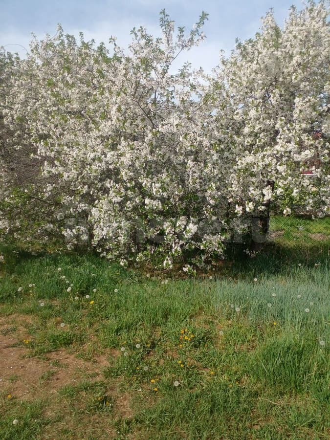 земля под ИЖС, 20 соток